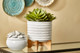 14485-02#Ceramic 8" Planter On Stand, White Stripe