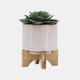 14485-15#Ceramic 6" Planter On Stand, Cream Stripe