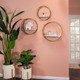 14736#S/3 Metal Round Wall Shelves,white/gold