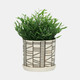 14807-02#S/2 Ceramic 6/8" Planter W/ Saucer, Beige