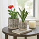 14807-02#S/2 Ceramic 6/8" Planter W/ Saucer, Beige