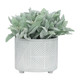 15064-05#S/2 Ceramic Diamond Footed Planter 10/12", Gray