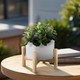 15065-03#6" Ceramic Chevron Planter W/ Wood Stand, White