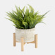 15071-03#6" Ceramic Planter W/ Wood Stand, Green Mix