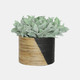 15638#S/3 2-tone Wicker Planters, Black