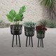 13574-10#S/3 Bamboo Planters 11/13/15", Black