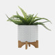 15056-05#8" Dotted Planter W/ Stand, White