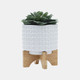 15056-06#5" Dotted Planter W/ Stand, White