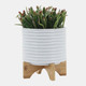 15780-02#8" Textured Planter W/ Stand, White