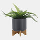 15798-02#8" Planter W/ Wood Stand, Matte Gray