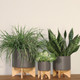 15798-03#10" Planter W/ Wood Stand, Matte Gray