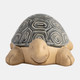 15300-01#13" Tortoise Deco, Gray