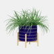 15896-01#10" Striped Planter W/ Wood Stand, Navy