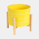 15897-02#  8" Striped Planter W/ Wood Stand, Yellow