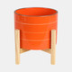 15898-02#  8" Striped Planter W/ Wood Stand, Orange