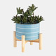 15899-03#  6" Striped Planter W/ Wood Stand, Skyblue