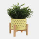 15904-03#  6" Dotted Planter W/ Wood Stand, Yellow