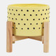 15904-03#  6" Dotted Planter W/ Wood Stand, Yellow