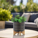 16119-02#8" Glazed Planter W/ Stand, Black