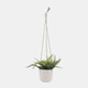 16377-01#Cer, 6" Vector Hanging Planter, White