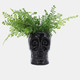16385-03#Cer, 6" Skull Vase, Black