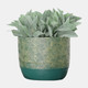 16629-01#Resin, S/2 10/13"d Swirl Planters, Green/gold