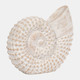 16883#Resin, 7"h Shell Table Accent, White