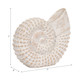 16883#Resin, 7"h Shell Table Accent, White
