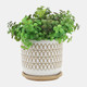 15787-01#S/2 5/6" Criss/cross Planter W/ Saucer, Beige