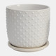 15795-03#S/2 5/6" Tiny Dots Planter W/ Saucer, White