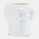 80163-01#Cer, 5" Skull Scented Candle, White 14oz