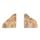 19146#S/2 6" Petrified Wood Bookends, Natural