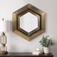 EV19310#20x20" Warwin Champagne Clad Hexagon Mirror
