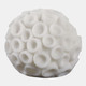 19615-01#6" Round Coral Orb, Ivory