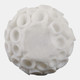 19615-01#6" Round Coral Orb, Ivory