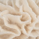 19616-01#6" Petal Coral, Ivory