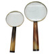 EV19554#S/2 7/9" Nilay Horn Magnifying Glass, Gold