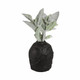 EV19599-02#9" Cleo Small Black Ecomix Vase