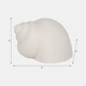 19738-02#6" Bonnet Seashell, White