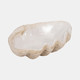 19741-01#16" Pearlized Shell Bowl, Ivory