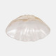 19741-01#16" Pearlized Shell Bowl, Ivory