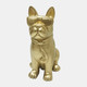 19998-02#10" Cool Shades Boston Terrier, Gold 