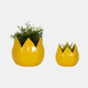 20116-02#S/2 5/8" Petal Planters, Yellow