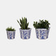 20229-02#S/3 8/10/12" Chinoiserie Bird Planters, Blue/white