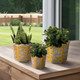 20229-03#S/3 8/10/12" Chinoiserie Floral Planters, Yellow/w