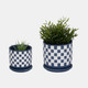 20238-03#S/2 5/6" Checkerboard Saucer Planters, Blue/white