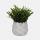 20248-01#5" Artichoke Planter, White
