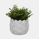 20248-02#7" Artichoke Planter, White