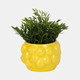 20273-01#7" Lemons Flower Pot, Yellow