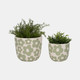 20312-01#S/2 7/9" Flower Power Planters, Light Green